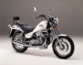 2002 Moto Guzzi Nevada 750 photo